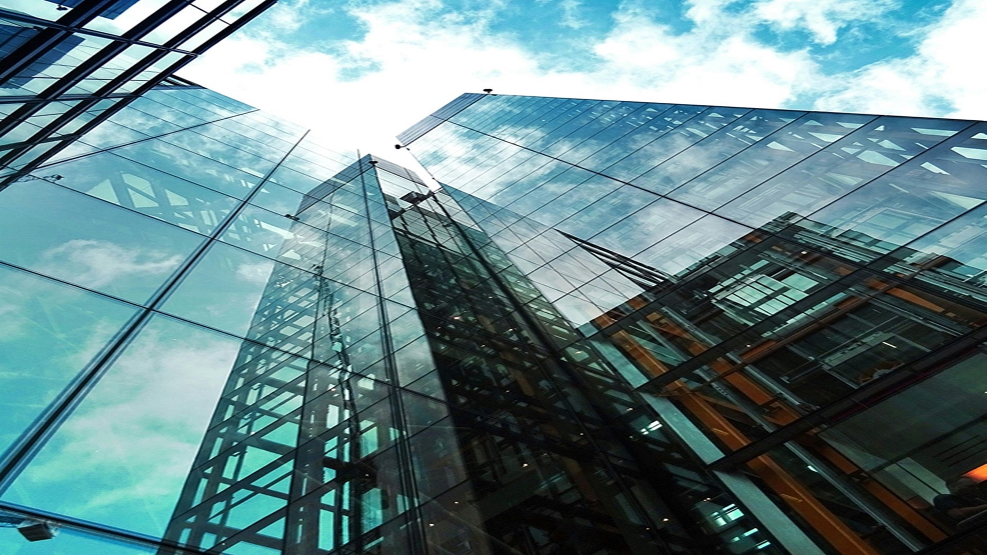 여의도 해피트리